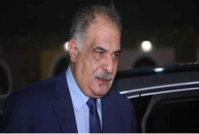الفنان رياض الخولي