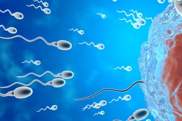 الحيوانات المنوية
