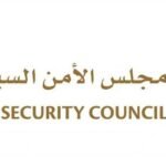 الأمن السيبراني