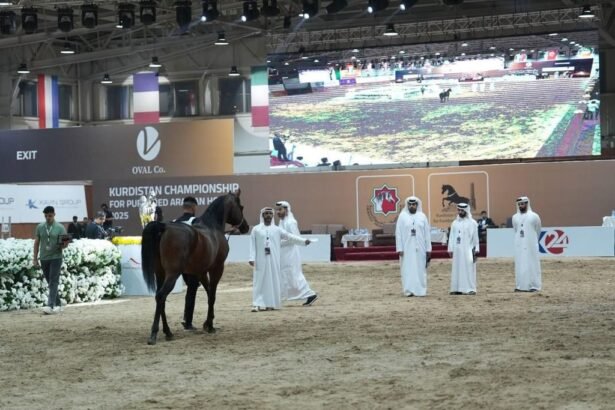 بطولة كردستان لجمال الخيل