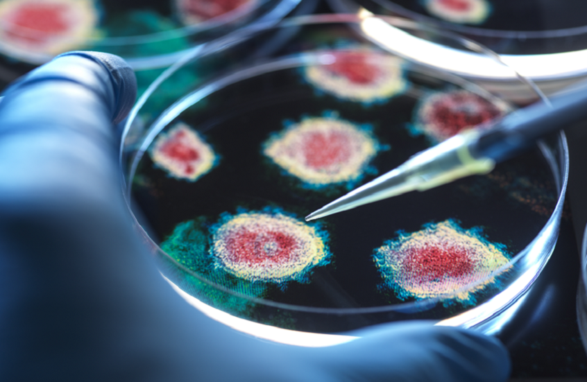 دراسة يابانية صورة تعبيرية