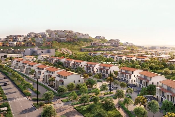 مشروعات أبوظبي