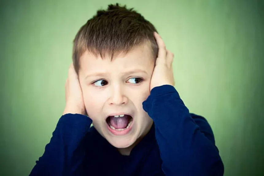 أضرار الصوت المرتفع