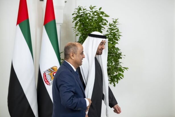 الشيخ محمد بن زايد