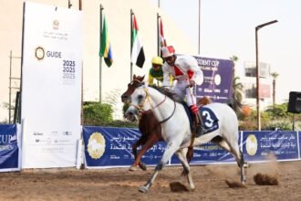 الجواد فهد الأمين