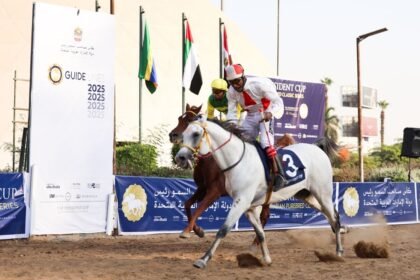 الجواد فهد الأمين