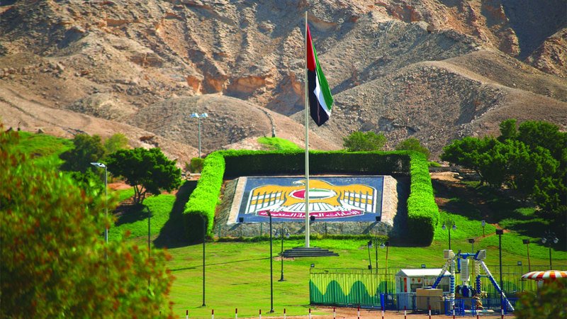 المبزرة الخضراء في العين