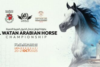 جمعية الإمارات للخيول العربية