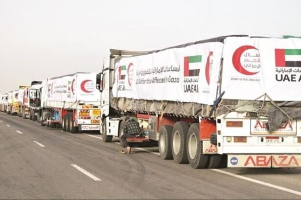 المساعدات الإنسانية الإماراتية