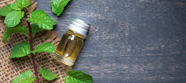 إكليل الجبل