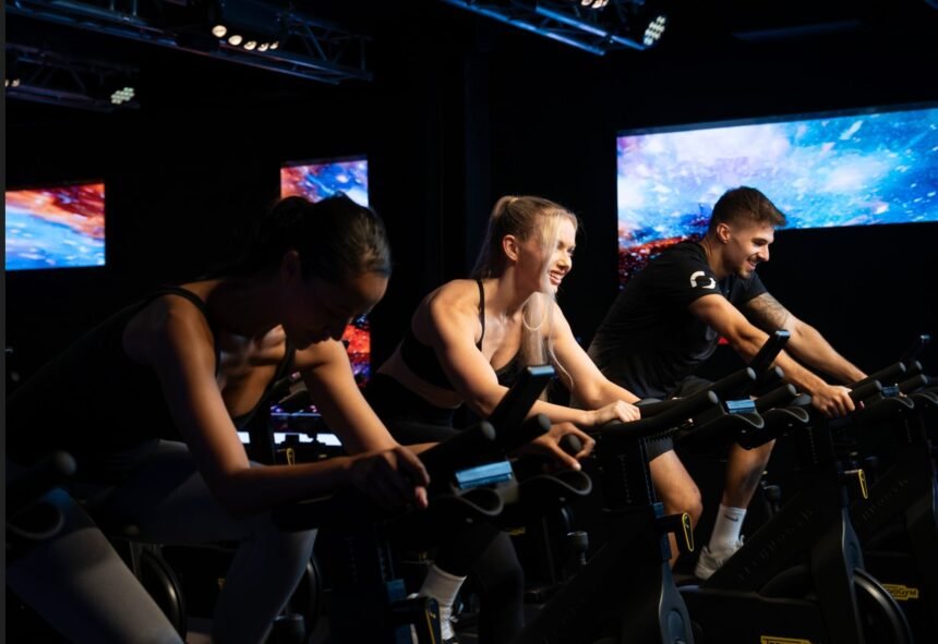 Viya Fit Mina Seyahi