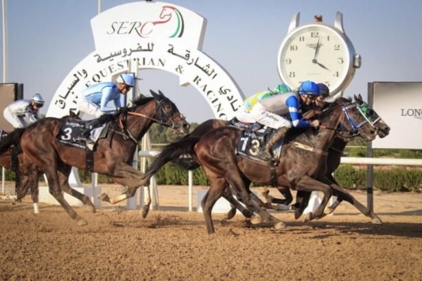 موسم سباقات مضمار الشارقة