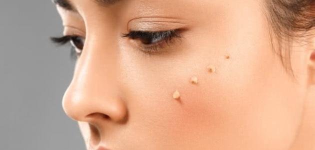 البرايمر للمكياج