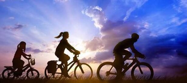 الدراجة في المنام