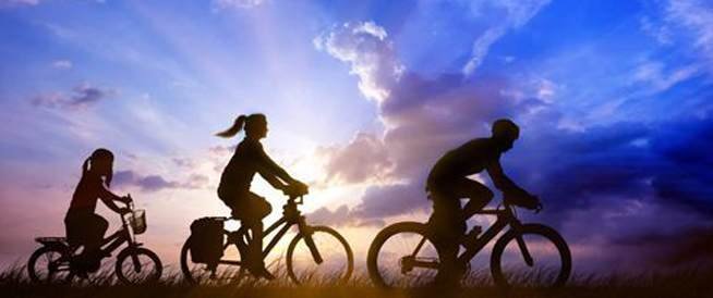 الدراجة في المنام