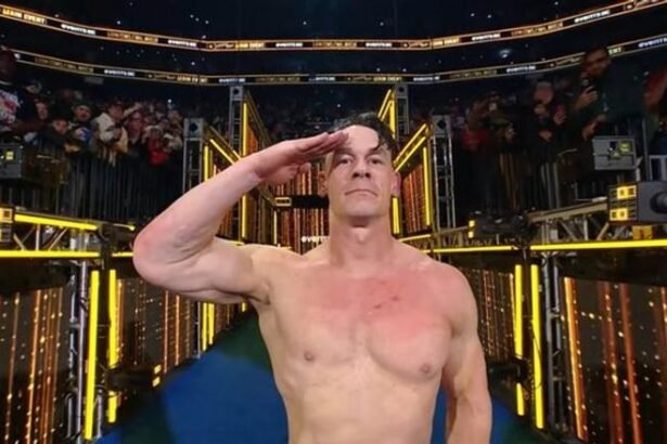 اعتزال جون سينا