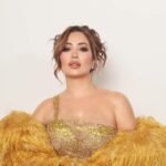 مسلسل أنا وهو وهم