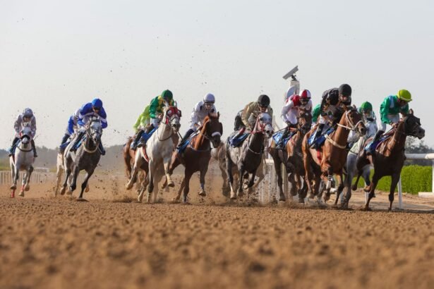 سباق الخيل