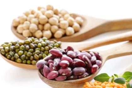 البروتين النباتي