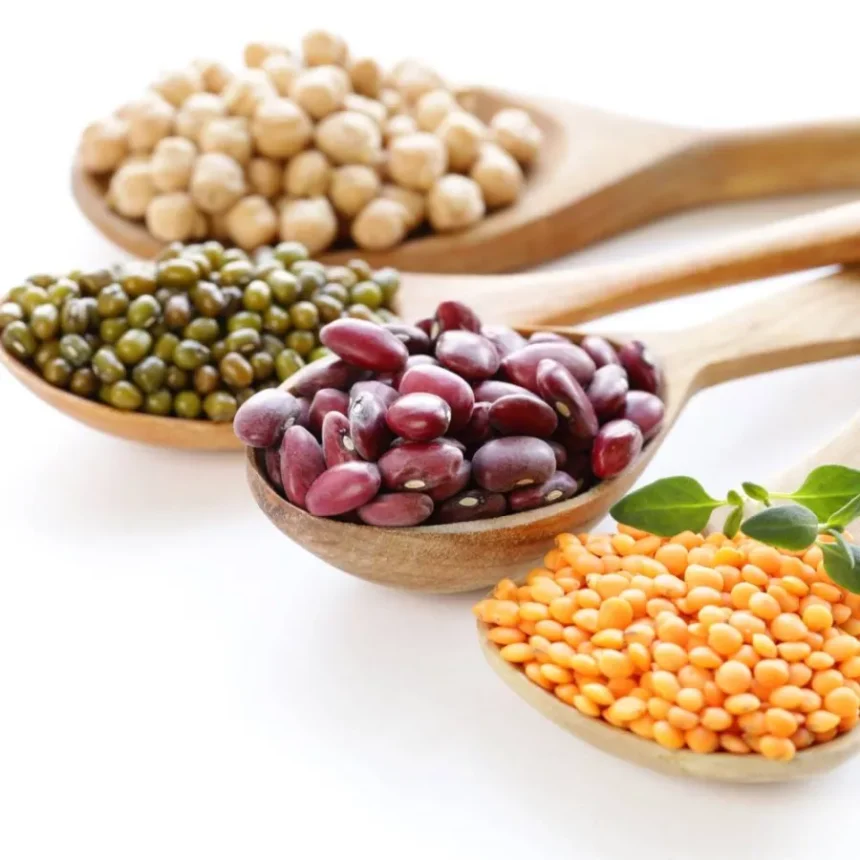 البروتين النباتي