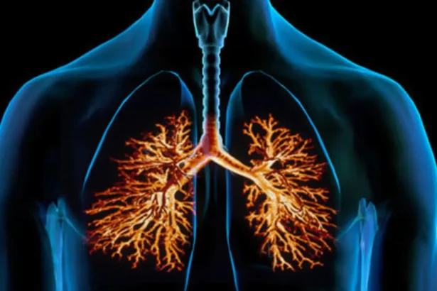 التهابات الجهاز التنفسي العلوي