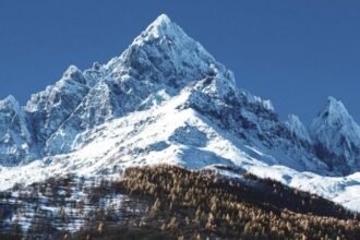 الذكاء الاصطناعي في الإنقاذ