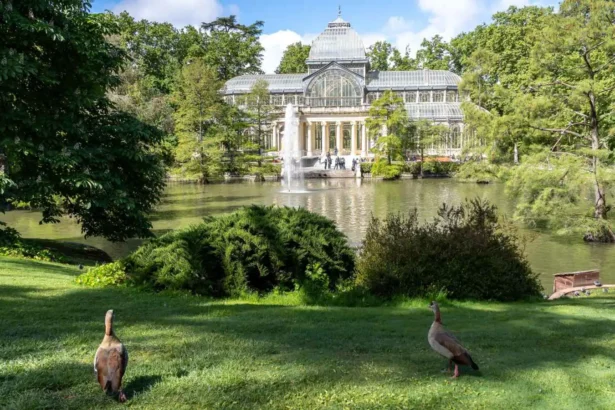 السياحة في مدريد