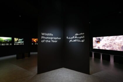 متحف التاريخ الطبيعي