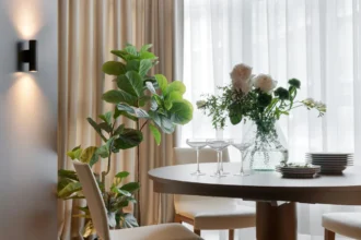 نبات الفيكس