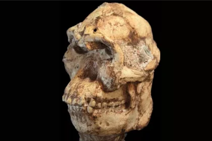 القدم الصغيرة