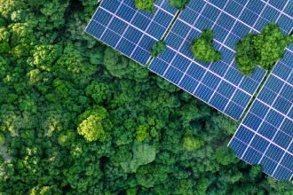 بنك أبوظبي الأول