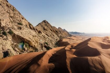 موقع الفاية