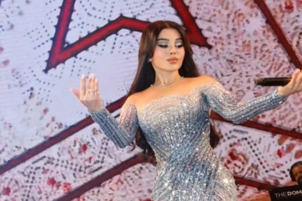 حفل هيفاء وهبي