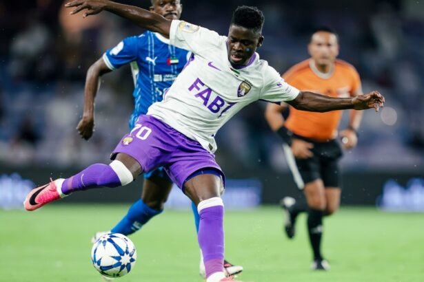 دوري أدنوك للمحترفين