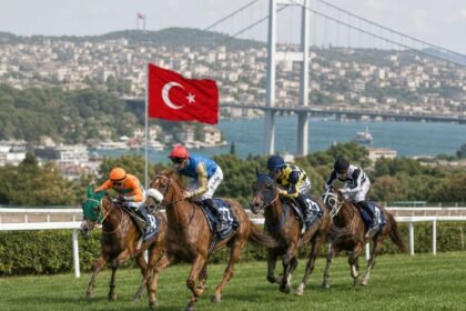 كأس رئيس الدولة للخيول